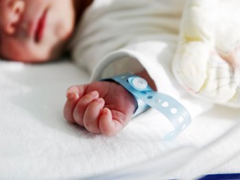 Опыты голландских врачей с виагрой привели к смерти 11 новорожденных детей 