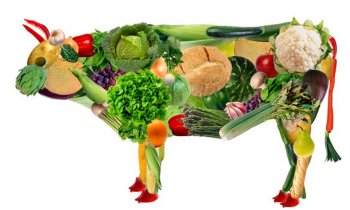 По данным ВЦИОМ в России почти 30 миллионов человек считают вегетарианство полезным